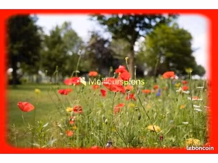 terrain 386 m² penestin