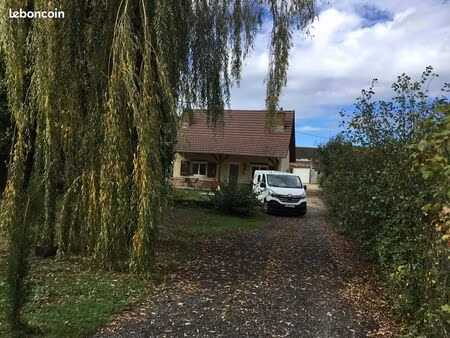 maison arborée avec piscine