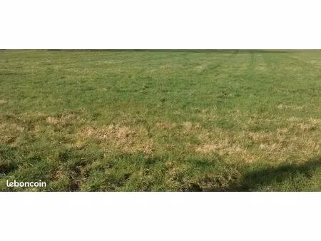 terrain 990 m² la baroche sous luce