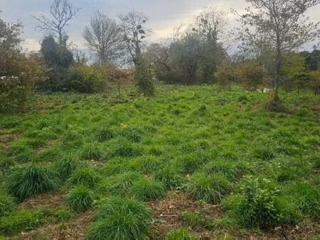 terrain 1 200 m² noaillan