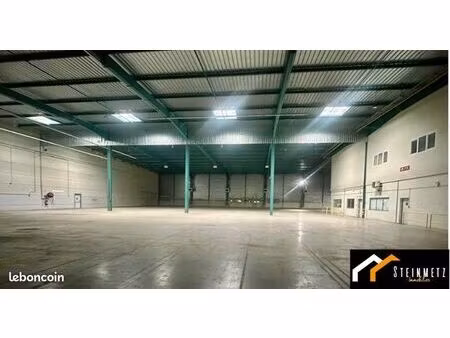 entreprises 2355 m² folkling