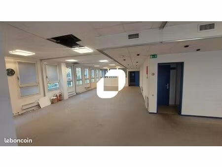 local d'activité 302 m²