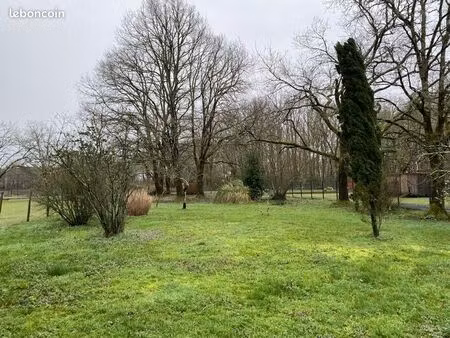 terrain constructible