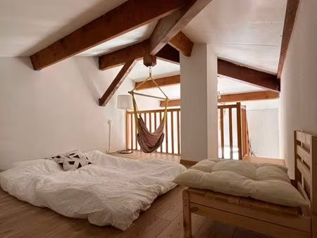 jolie appartement avec mezzanine