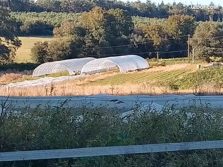 exploitation maraichère bio