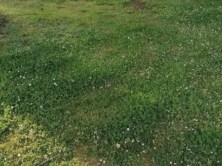 terrain 400 m² locmiquelic