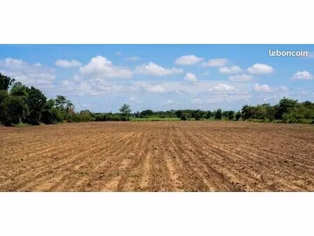 terrain constructible 1021m2 / étude g1 / direct propriétaire