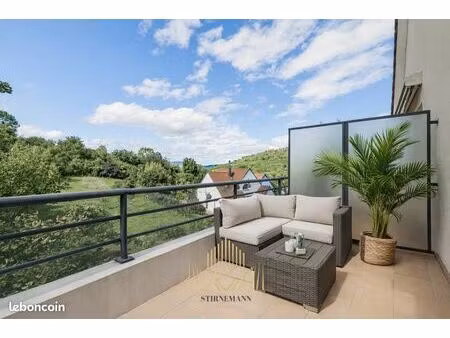 appartement avec terrasse garage cave et parkings