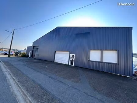 local professionnel 600 m2 st pavace