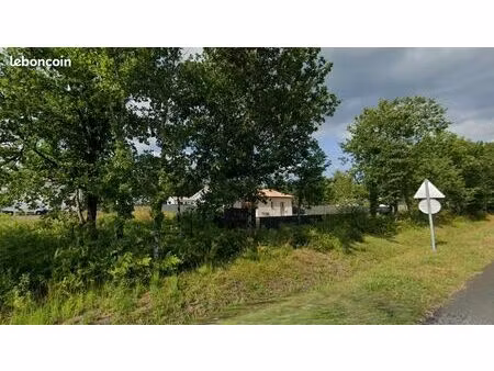 terrain 503 m² brach