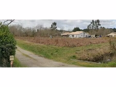 terrain 1 124 m² le temple