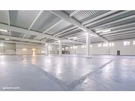 local 1550 m² louvres