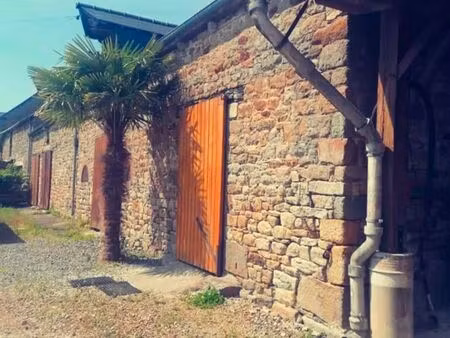 projet d'investissement équestre et immobilierère