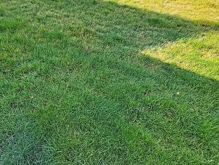 terrain 225 m² bonsecours