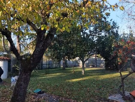 terrain constructible