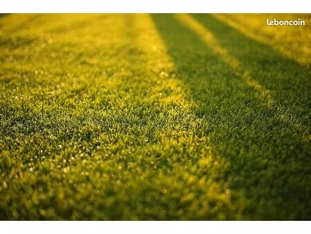 terrain 601 m² vallet