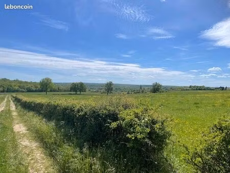 terre agricole