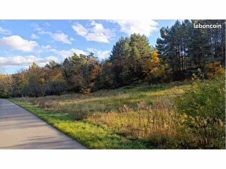 recherche d’un terrain