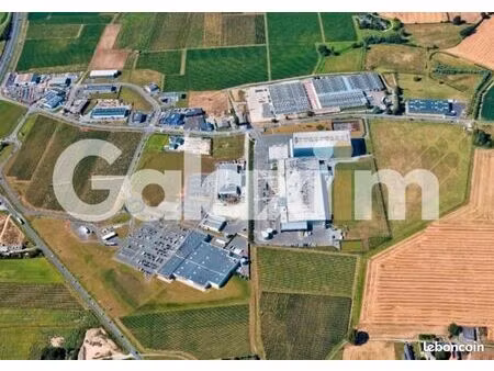 local 500 m² brissac loire aubance