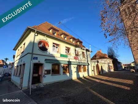 immeuble 330 m² marckolsheim