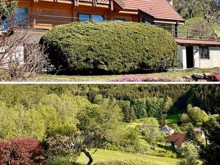 chalet plein sud avec piscine