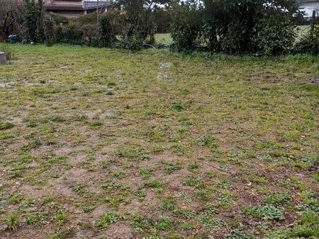 terrain à bâtir