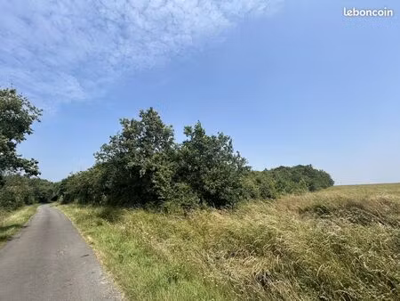 terrain 4200 m² l'île-d'olonne