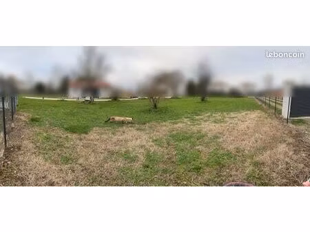 terrain constructible