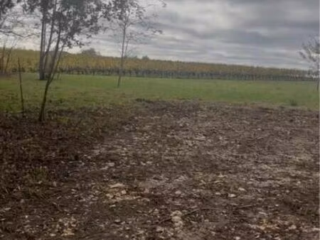 terrain 5 000 m² langoiran