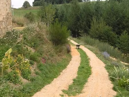 recherche maison avec terrain 15000 m2 minimum