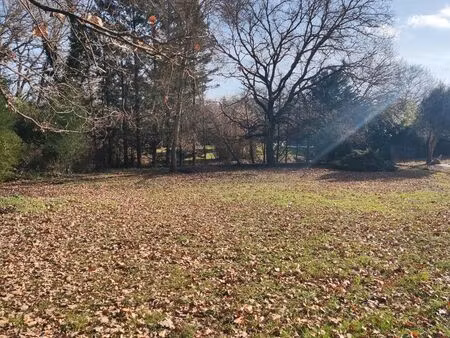 fonsorbes terrain de 1480 m2