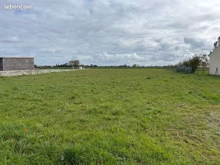 terrain constructible