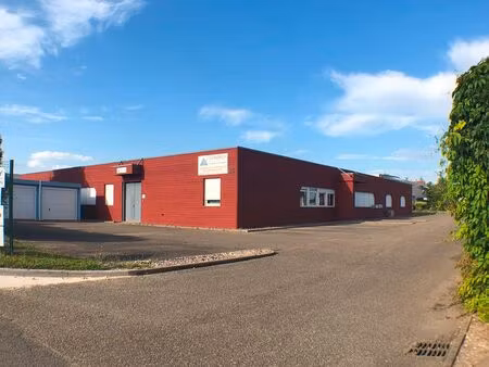 locaux commerciaux 2 lots de 300m² à mundolsheim