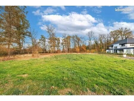 terrain borné et viabilisé