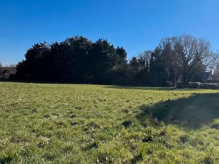 belle parcelle constructible - expo sud