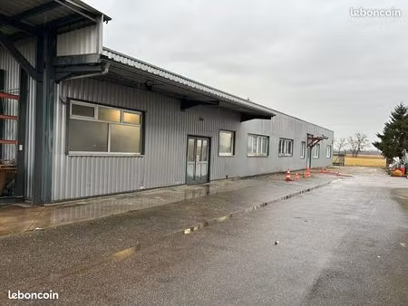 complexe immobilier entrepôt atelier professionnel – 1 013 m² sur 36 ares emplacement stra