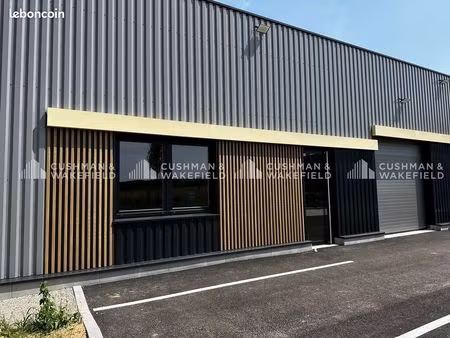 local 153 m²