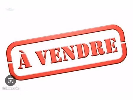 restaurant - tacos fond de commerce