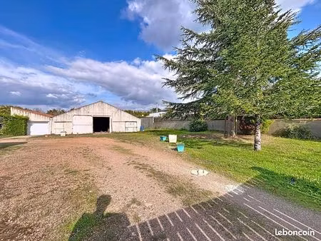 terrain 1 363 m² les sables d olonne