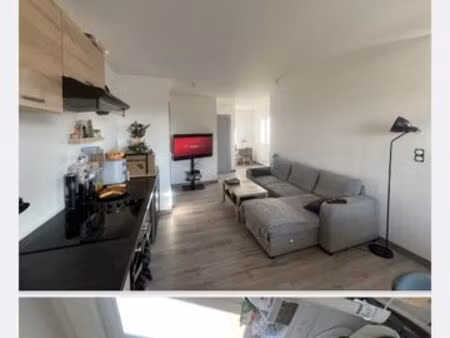 appartements et maison locatifs