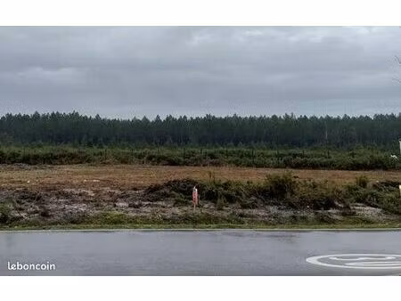 terrain 800 m² belin beliet