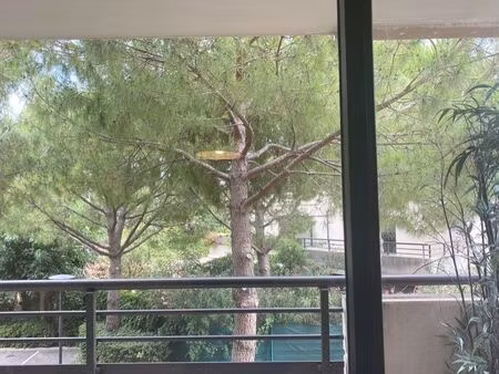 superbe appartement aux allées borely t2 avec terrasse et boxe fermé