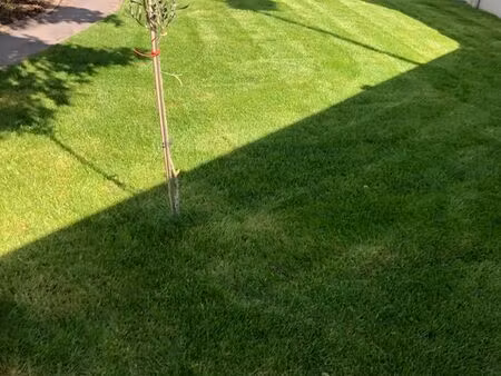 maison individuelle de 127m2 avec vèranda et pergola à saint amand les eaux