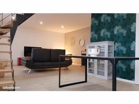 appart/maison en meublé