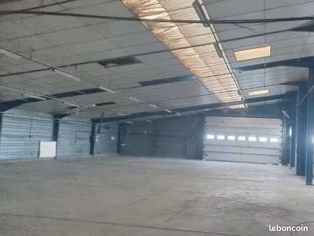 local 350m² la chataigneraie