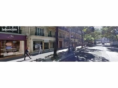 local commercial 115 m² paris