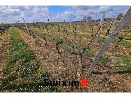 terrain 58343 m² ordonnac