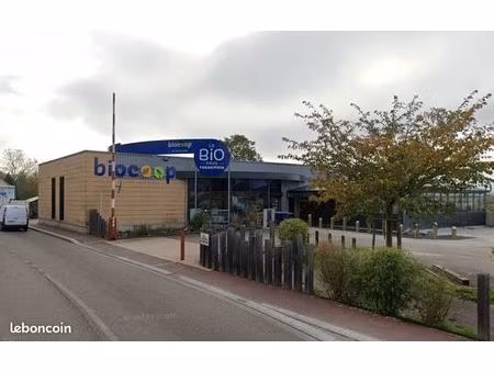 showroom / commerce 772 m²