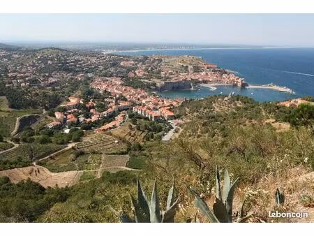 fdj  tabac 160 m² port-vendres