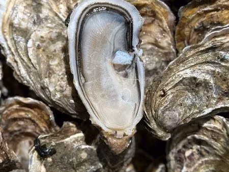 coquillages  huîtres  crustacé